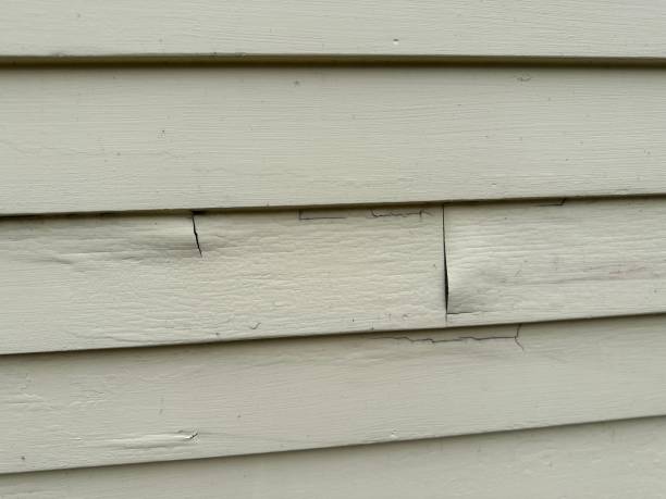 Best Construction Debris Removal  in Wood Village, OR